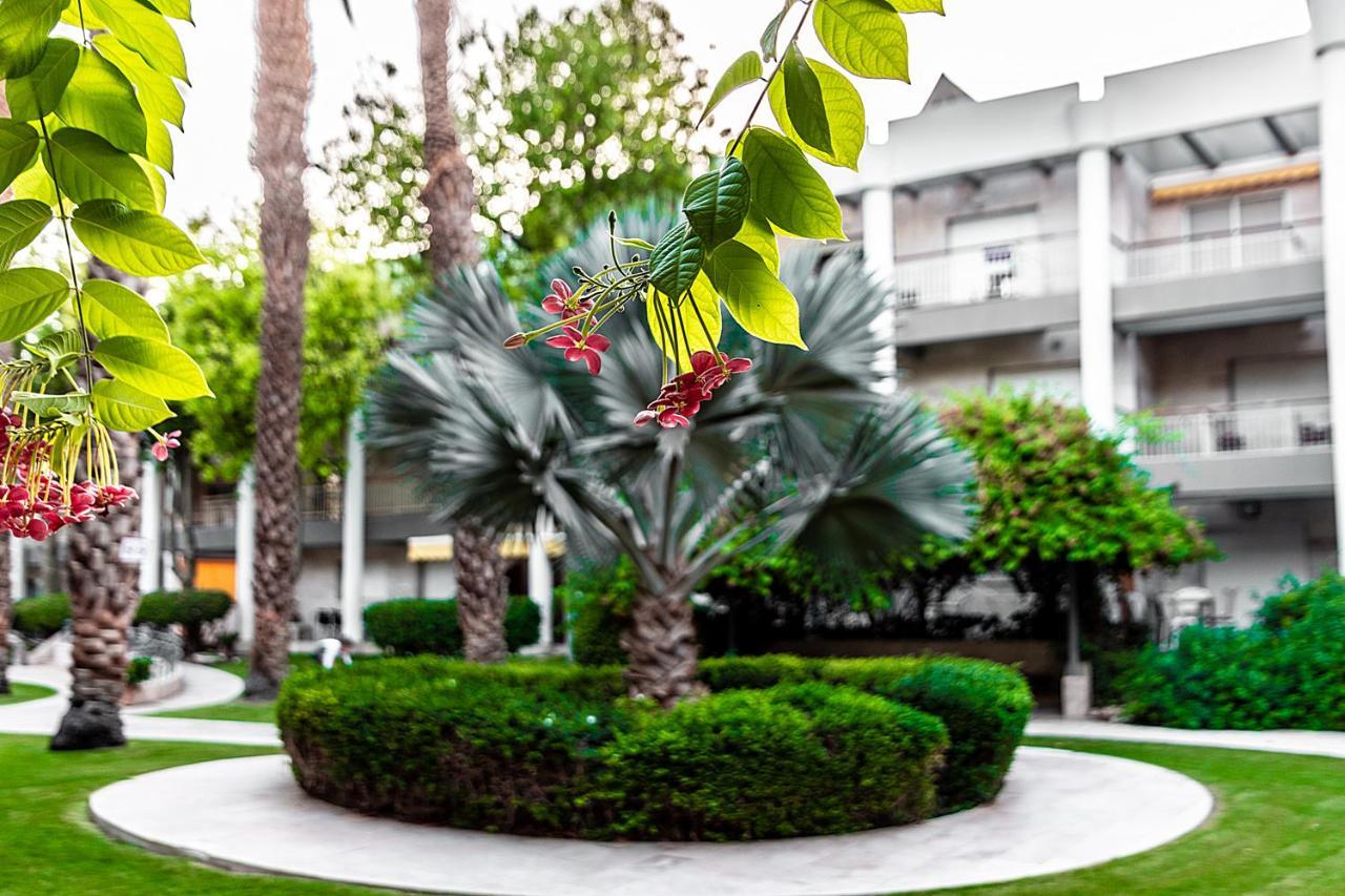 شقة דירת גן פונה לבריכה - Pool Garden View إيلات المظهر الخارجي الصورة